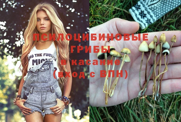 спайс Богородицк