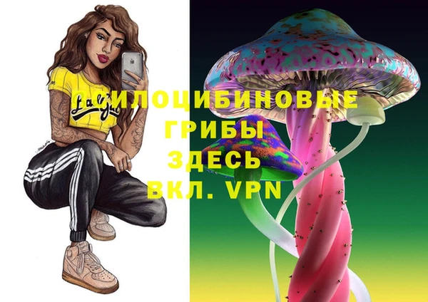 первитин Богородск